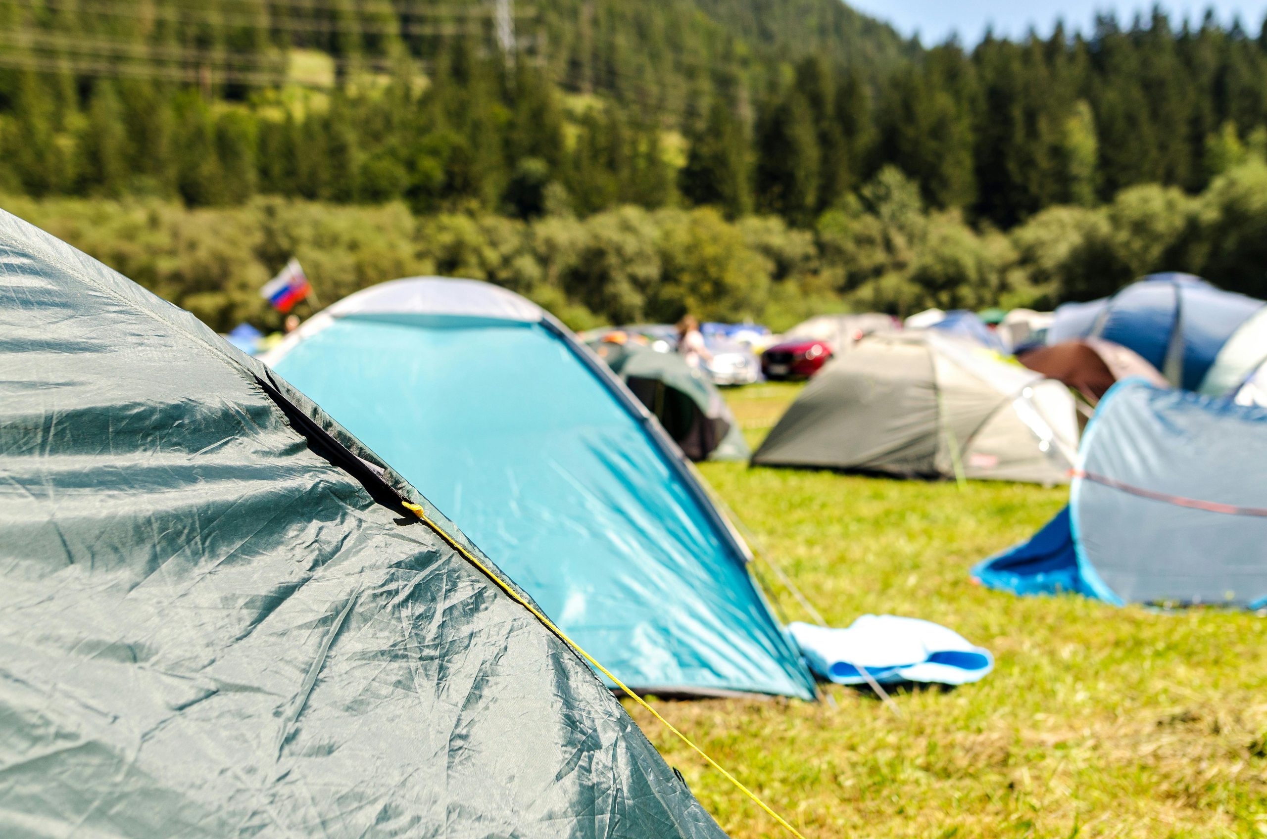 Vibrant camping tents set up in a lush forest landscape under a sunny sky.